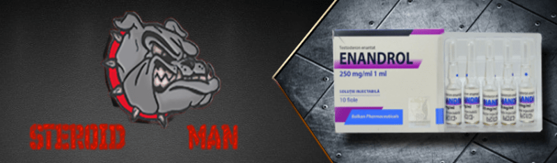 тестостерона энантат купить